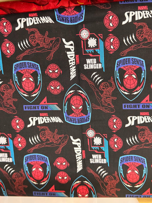 A41 Spidy Hero 🕷️