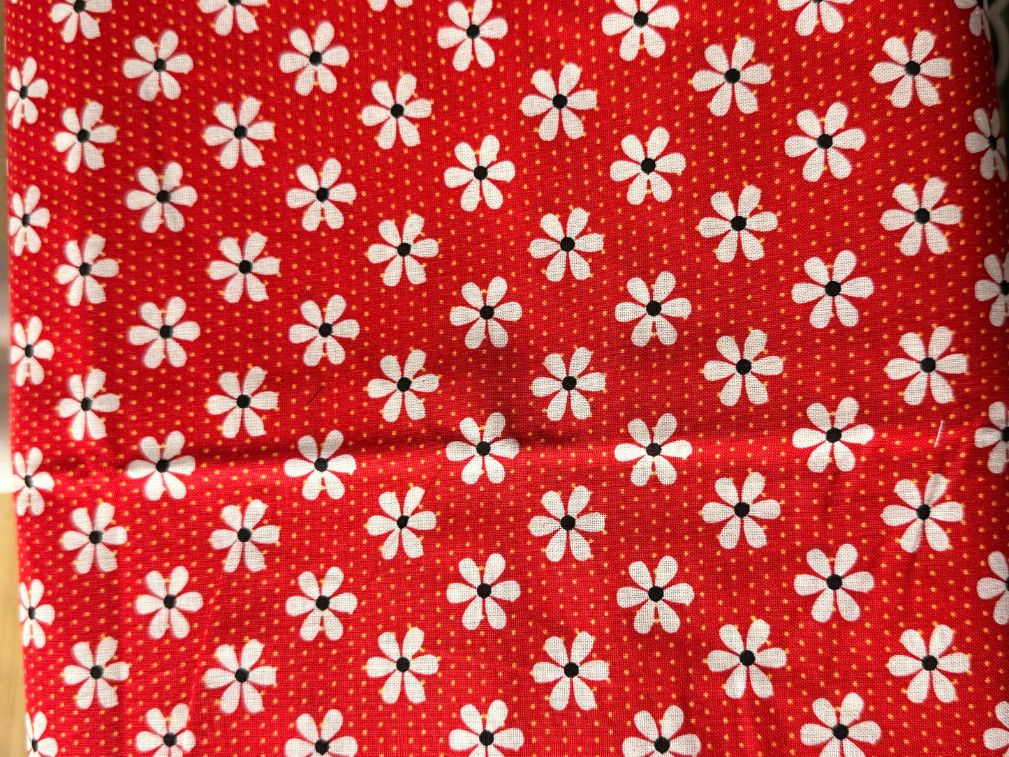 A13- Red Daisy 🌹