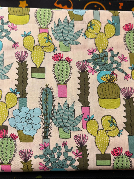 A3-Cactus bloom 🌵