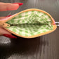 Pink petals Zipper wallet, handmade zipper wallet